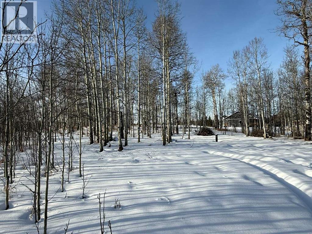 3, 5228 Highway 579, Rural Mountain View County, Alberta  T0M 2E0 - Photo 17 - A2282234