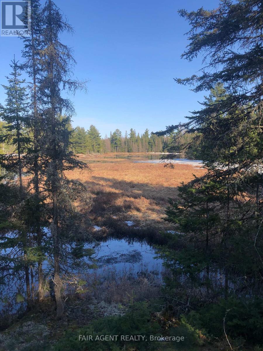 68 Wah-Wash-Kesh Road, Whitestone, Ontario  P0A 1G0 - Photo 26 - X12960336