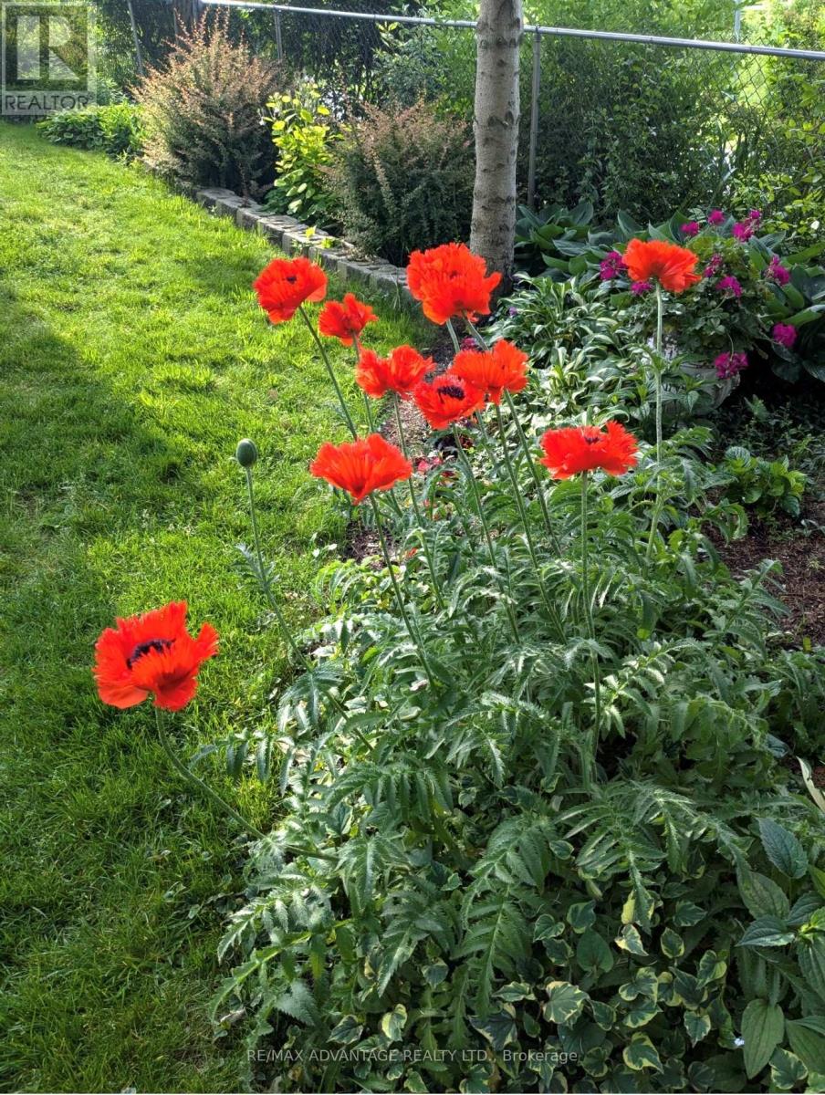 993 Gabor Street, London South, Ontario  N6K 4V5 - Photo 45 - X12960502