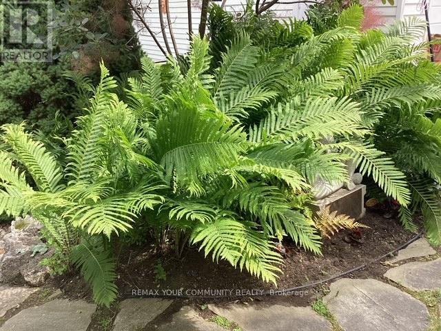 30 Dunning Avenue, Aurora, Ontario  L4G 6H7 - Photo 44 - N12960072