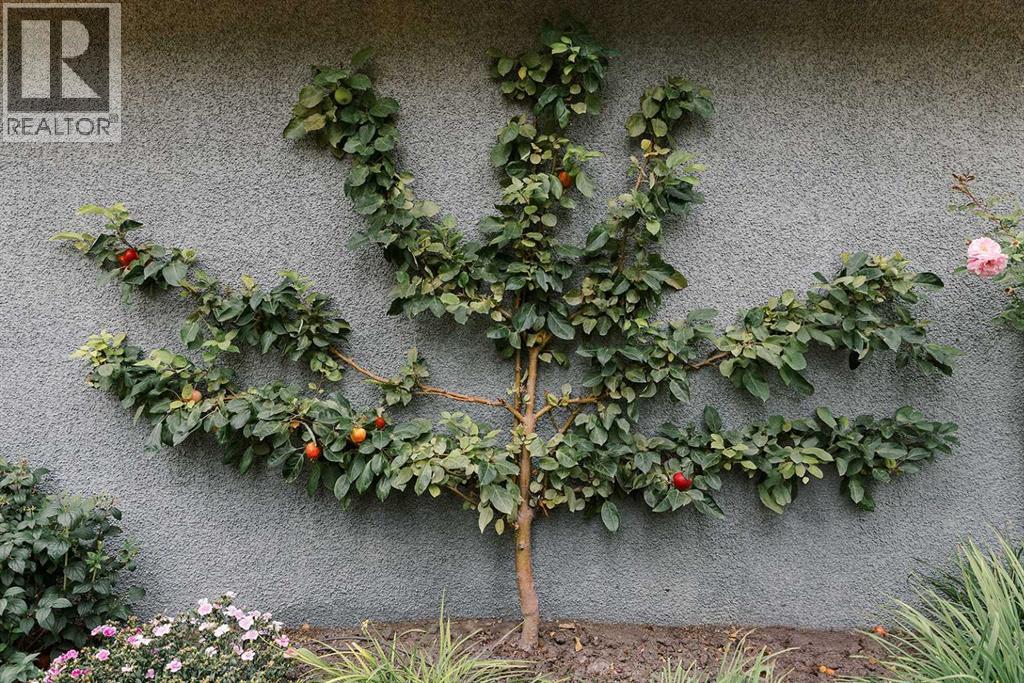 1712 25 Street Sw, Calgary, Alberta  T3C 1J6 - Photo 36 - A2296477