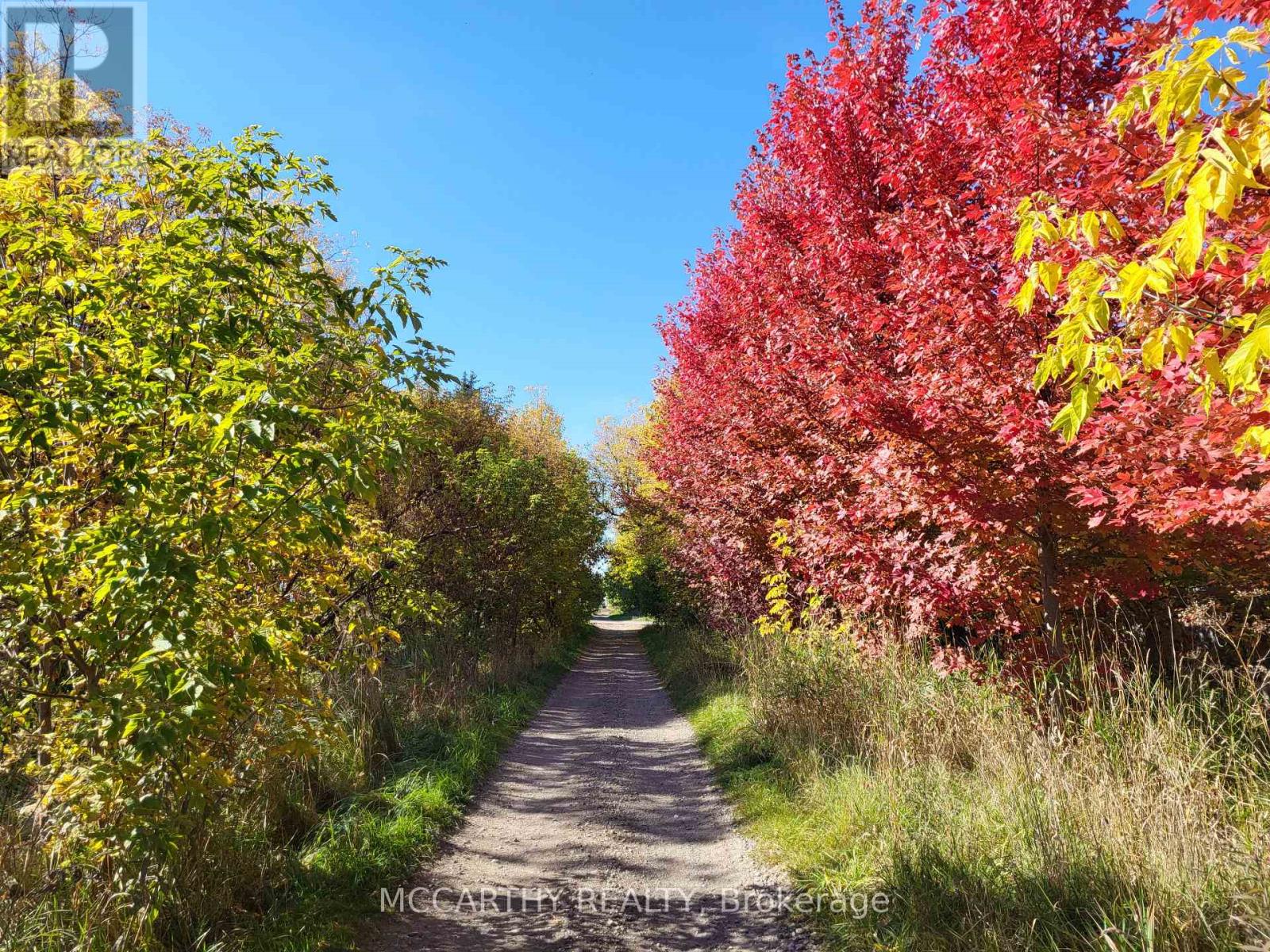 211 - 270 Hagan Street, Southgate, Ontario  N0C 1B0 - Photo 12 - X12960520