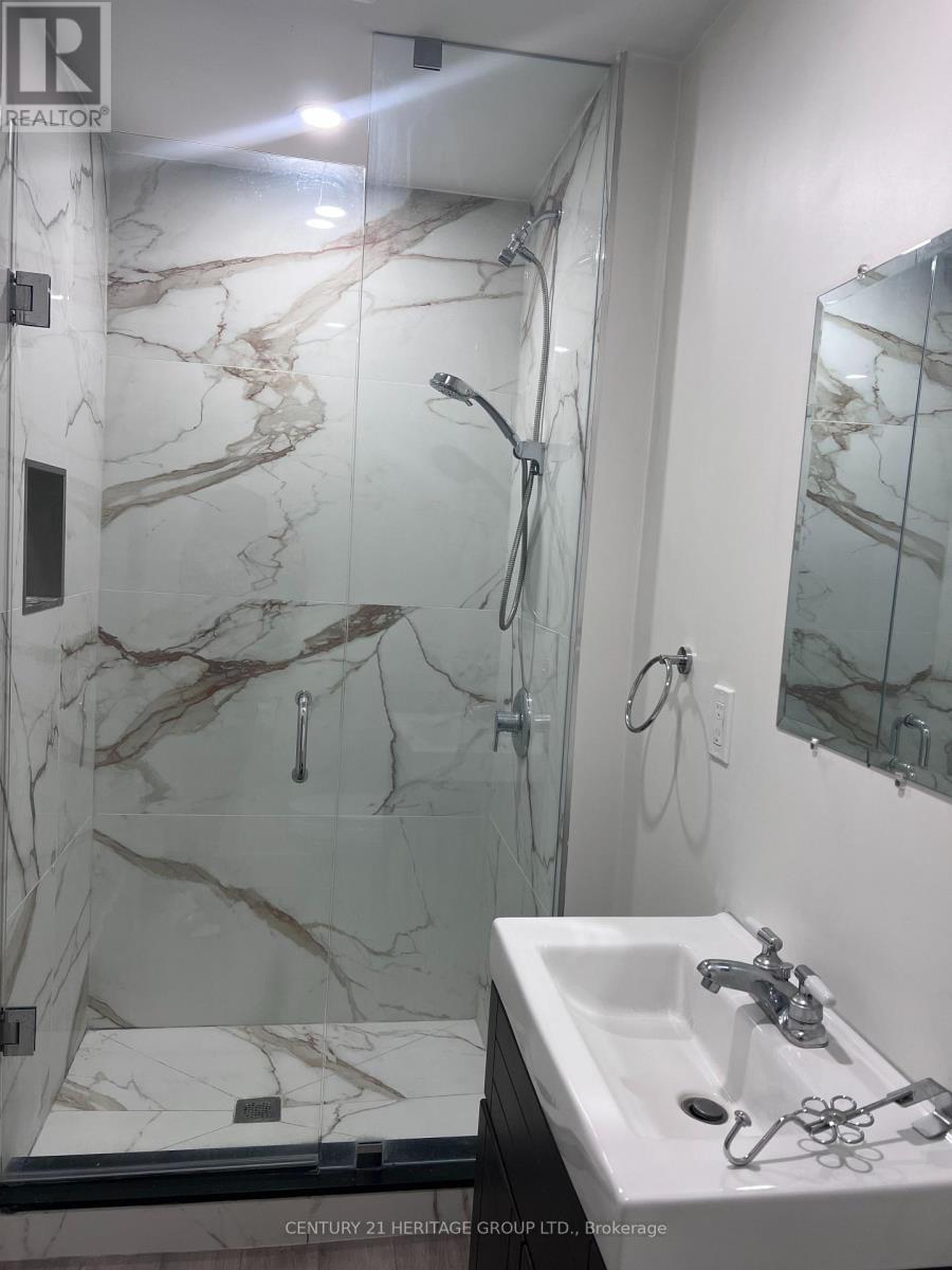 Lower - 163 Hilltop Drive, East Gwillimbury, Ontario  L9N 1B9 - Photo 11 - N12888252