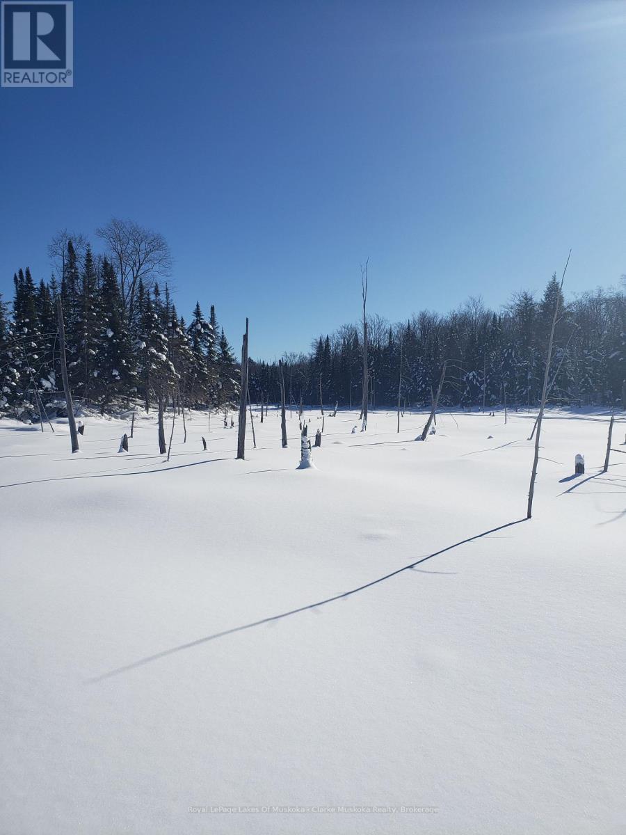 1210 Falkenburg Road, Bracebridge, Ontario P1L 1X4 - Photo 30 - X12960712