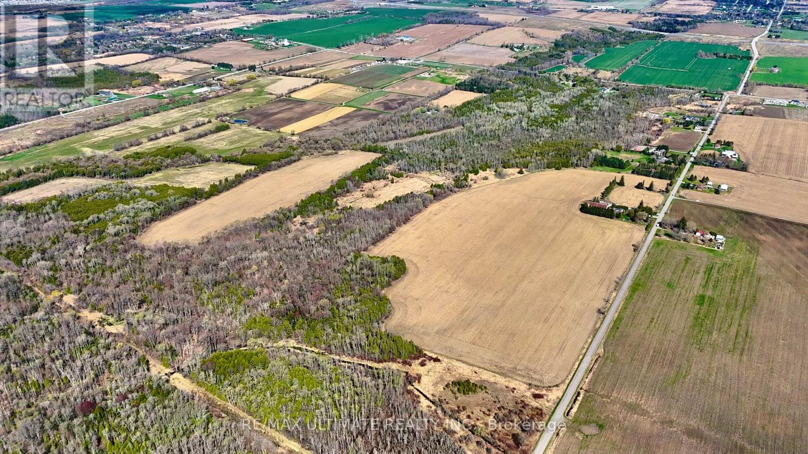 4392 Solina Road, Clarington, Ontario  L0B 1J0 - Photo 2 - E12960680