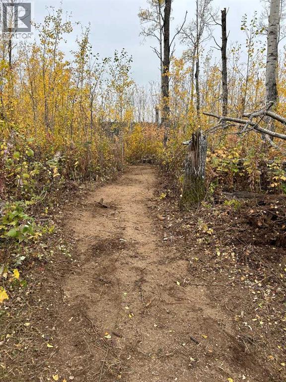 27&28 Tugate Drive, Rural Mackenzie County, Alberta  T0H 1Z0 - Photo 42 - A2295003