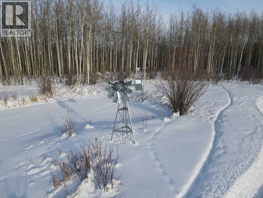 69565 Range Road 65, Grovedale, Alberta  T0H 1X0 - Photo 40 - A2292813