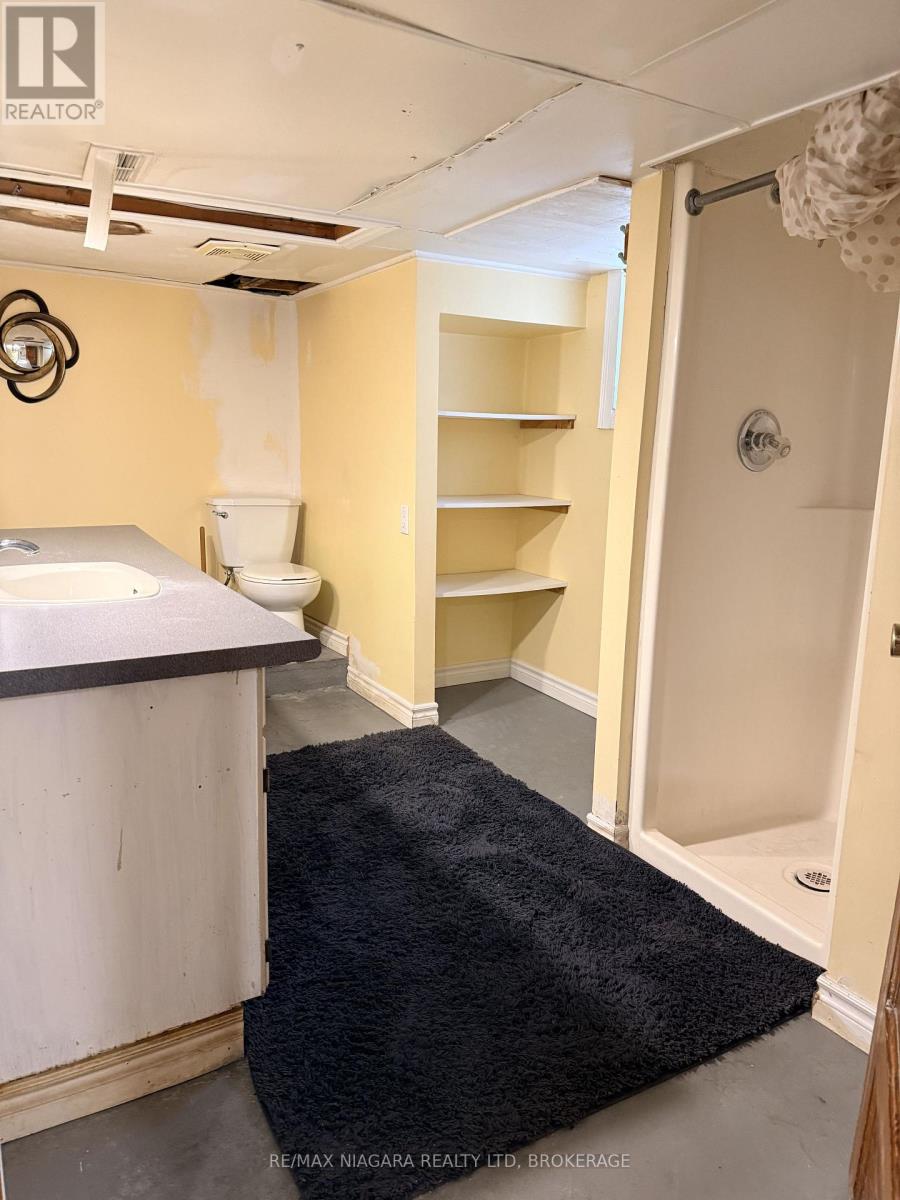 20 Thomas Street, St. Catharines, Ontario  L2R 6L6 - Photo 14 - X12960822