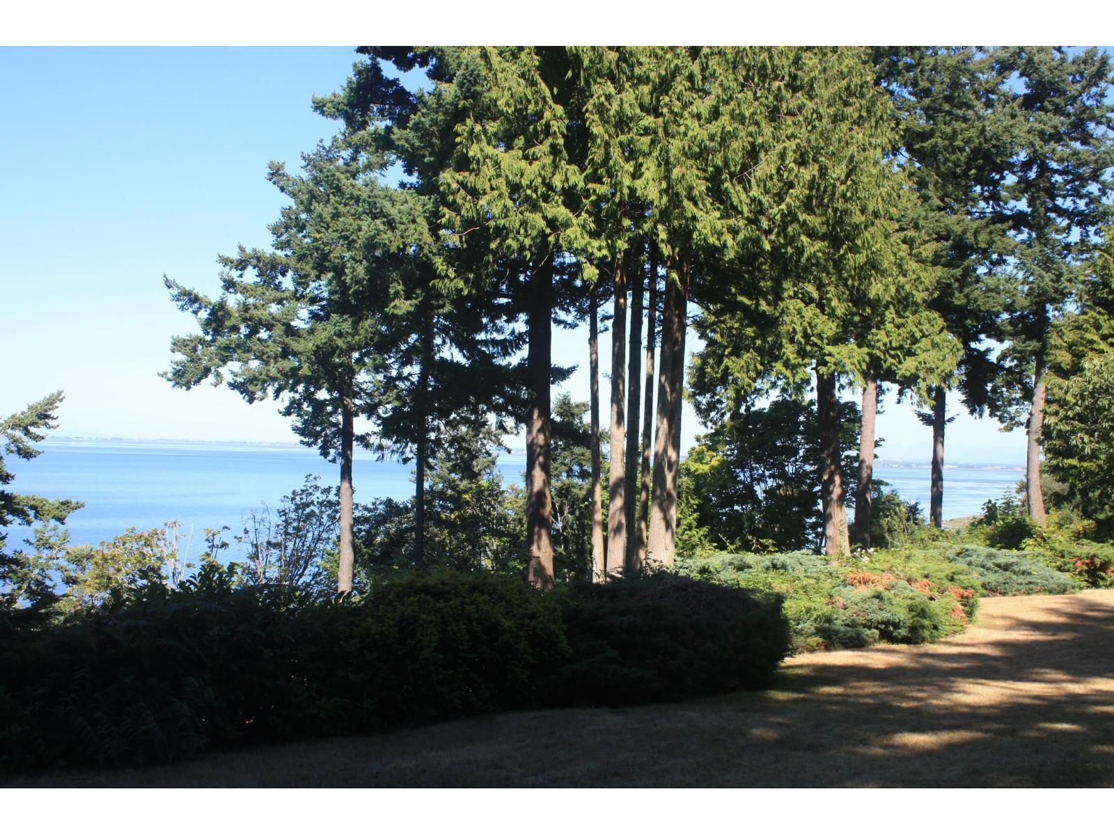 12581 16 Avenue, Surrey, British Columbia  V4A 1M7 - Photo 1 - R3087014