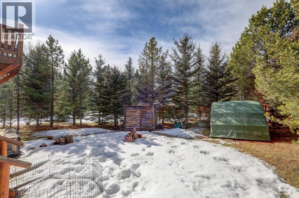 151, 5227 Township Road 320, Rural Mountain View County, Alberta  T0M 1X0 - Photo 41 - A2292992