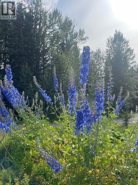 151, 5227 Township Road 320, Rural Mountain View County, Alberta  T0M 1X0 - Photo 37 - A2292992