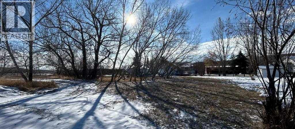 3 Oxford Drive, Carbon, Alberta  T0J 0L0 - Photo 3 - A2296952