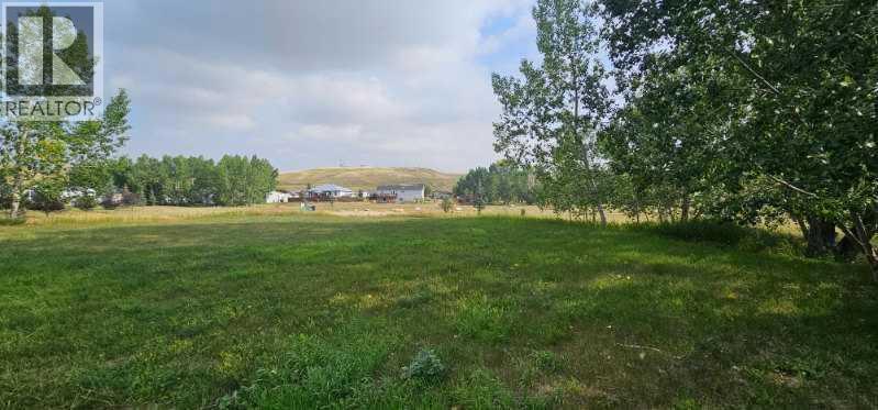 3 Oxford Drive, Carbon, Alberta  T0J 0L0 - Photo 5 - A2296952