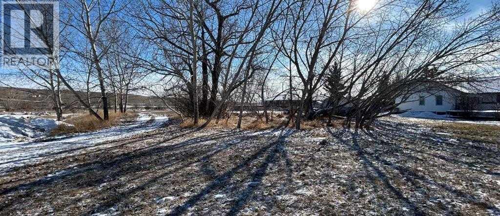 3 Oxford Drive, Carbon, Alberta  T0J 0L0 - Photo 4 - A2296952