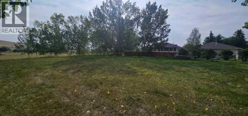 3 Oxford Drive, Carbon, Alberta  T0J 0L0 - Photo 8 - A2296952