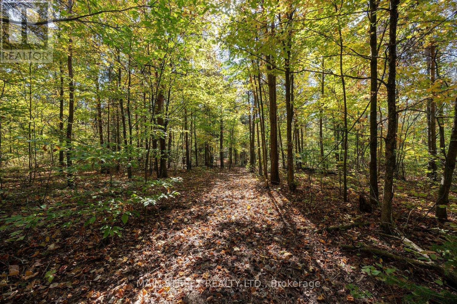 4730 Devitts Road, Scugog, Ontario  L0B 1B0 - Photo 35 - E12842892