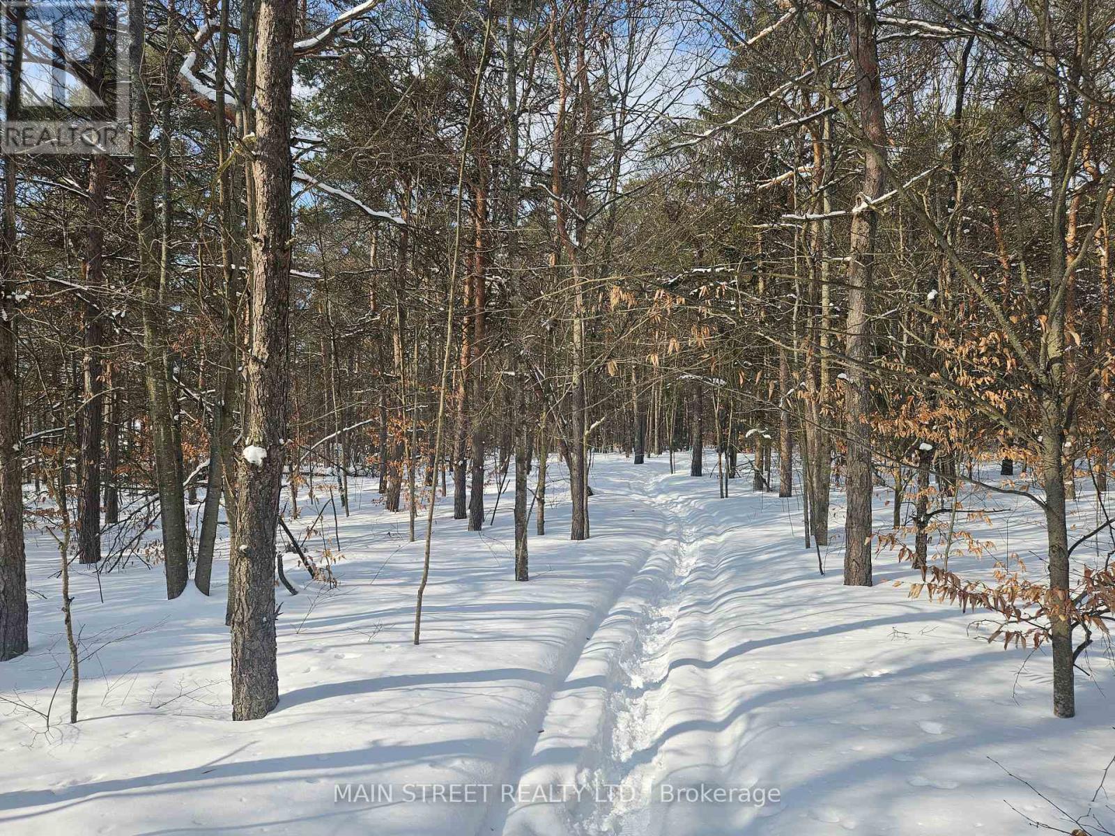 4730 Devitts Road, Scugog, Ontario  L0B 1B0 - Photo 36 - E12842892