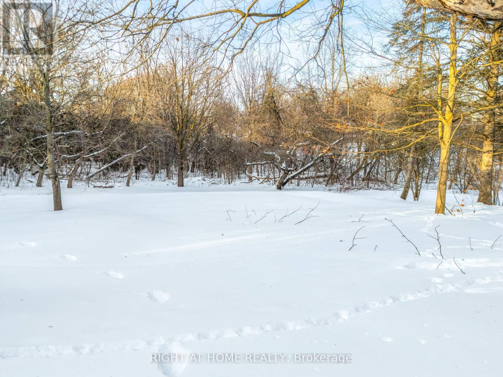 735 Srigley Street, Newmarket, Ontario  L3Y 1X6 - Photo 26 - N12961026