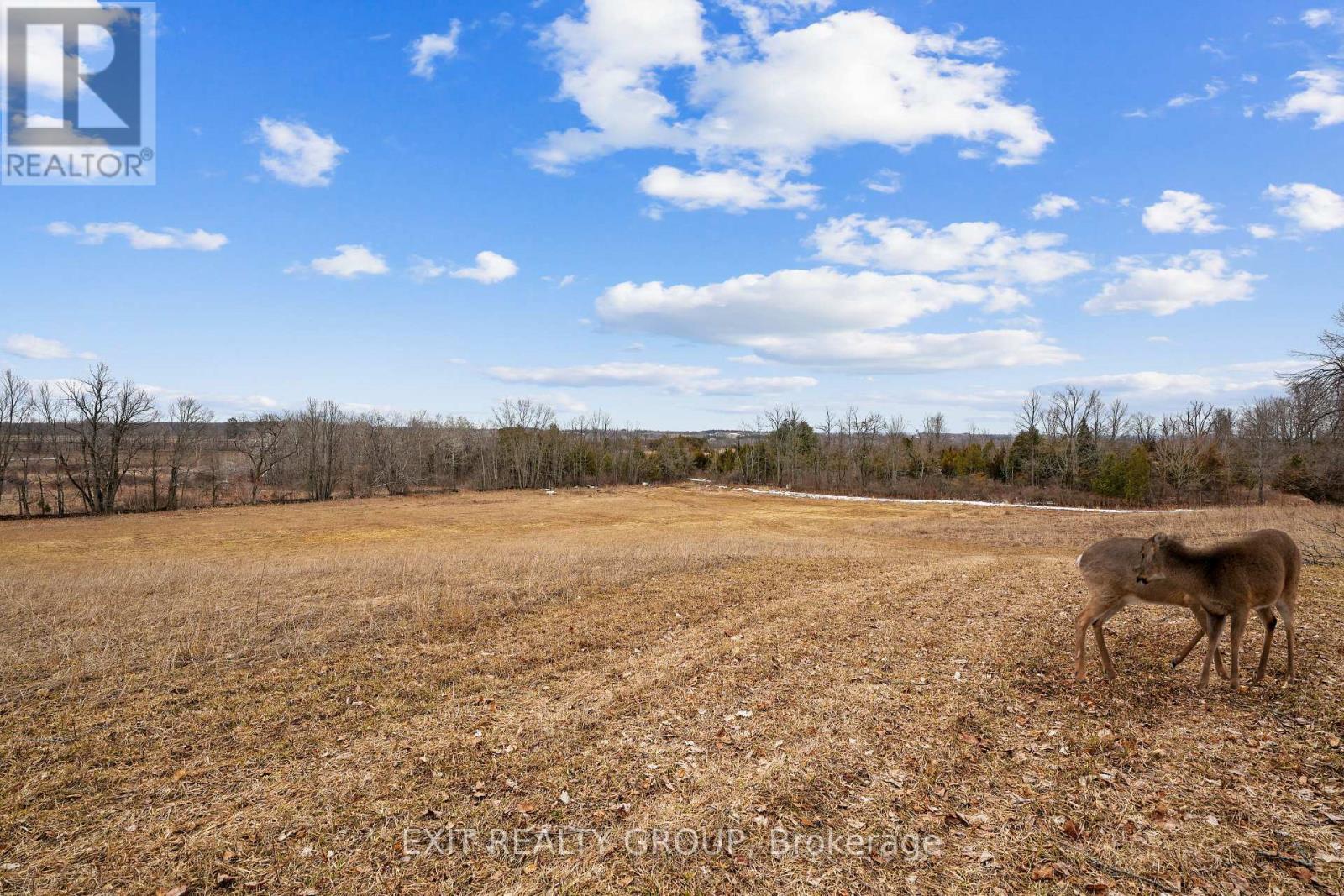 4006 Stirling Marmora Road, Stirling-Rawdon, Ontario  K0K 3E0 - Photo 25 - X12961200