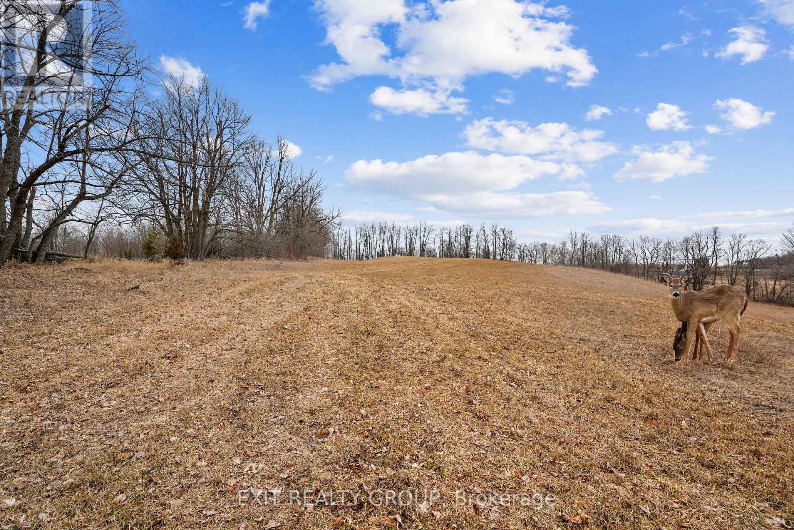 4006 Stirling Marmora Road, Stirling-Rawdon, Ontario  K0K 3E0 - Photo 26 - X12961200