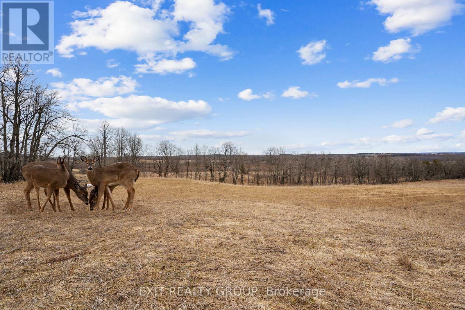 4006 Stirling Marmora Road, Stirling-Rawdon, Ontario  K0K 3E0 - Photo 28 - X12961200