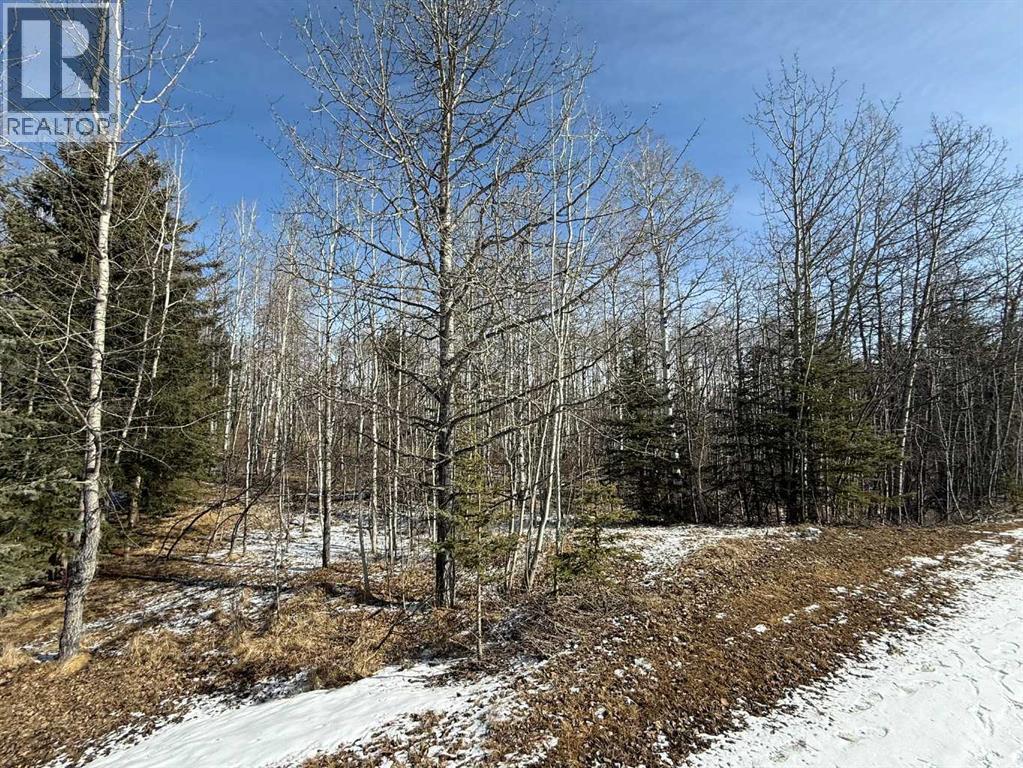 40, 29066 Range Road 52, Rural Mountain View County, Alberta