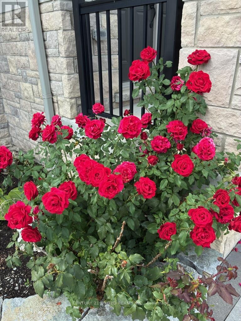 76 Highlands Boulevard, Cavan Monaghan, Ontario  L0A 1G0 - Photo 33 - X12887596