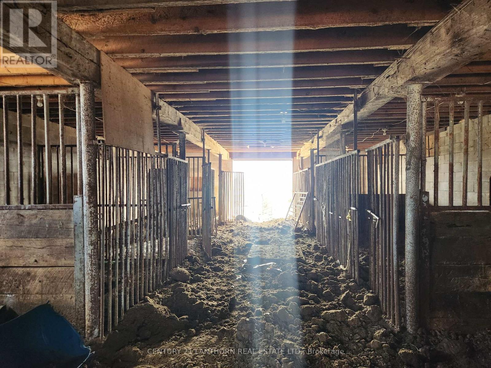 50 Platt Road, Quinte West, Ontario  K8V 5P8 - Photo 16 - X12896092