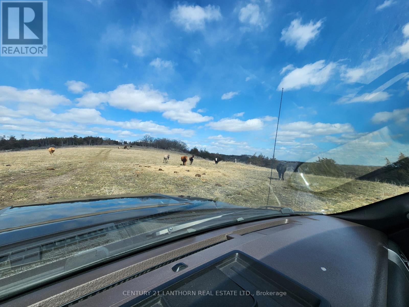 50 Platt Road, Quinte West, Ontario  K8V 5P8 - Photo 28 - X12896092