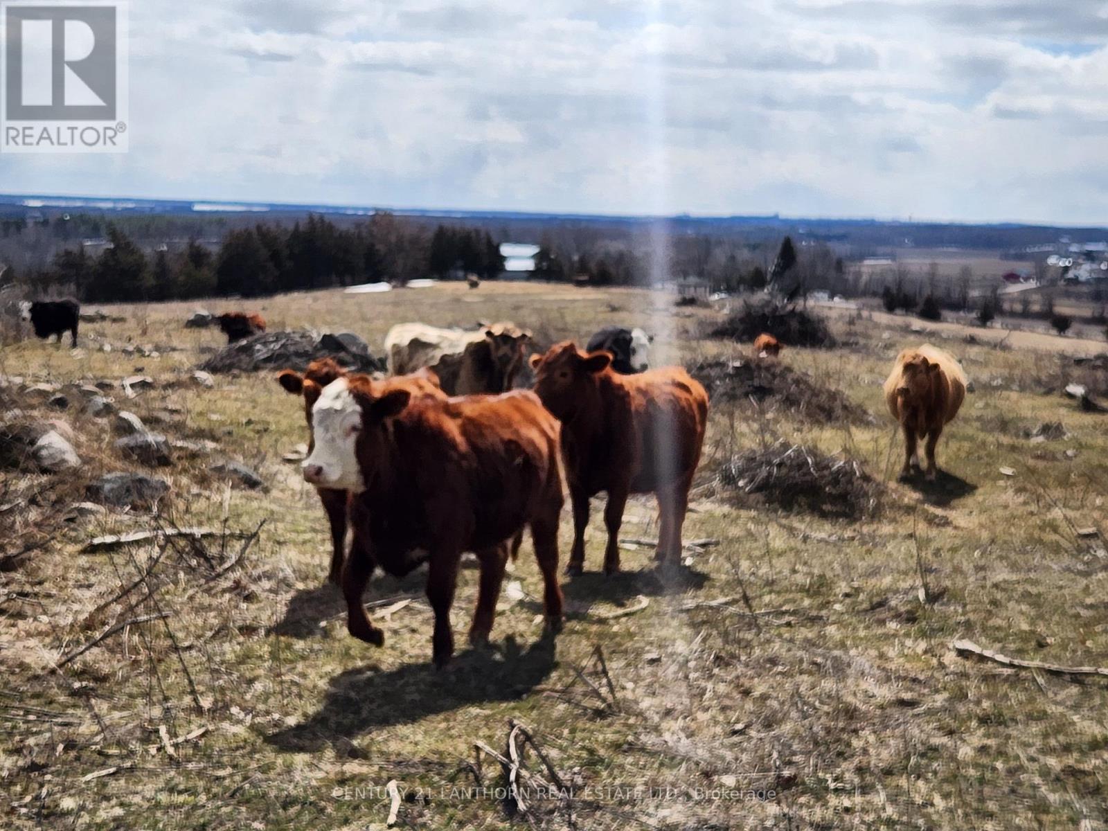 50 Platt Road, Quinte West, Ontario  K8V 5P8 - Photo 33 - X12896092