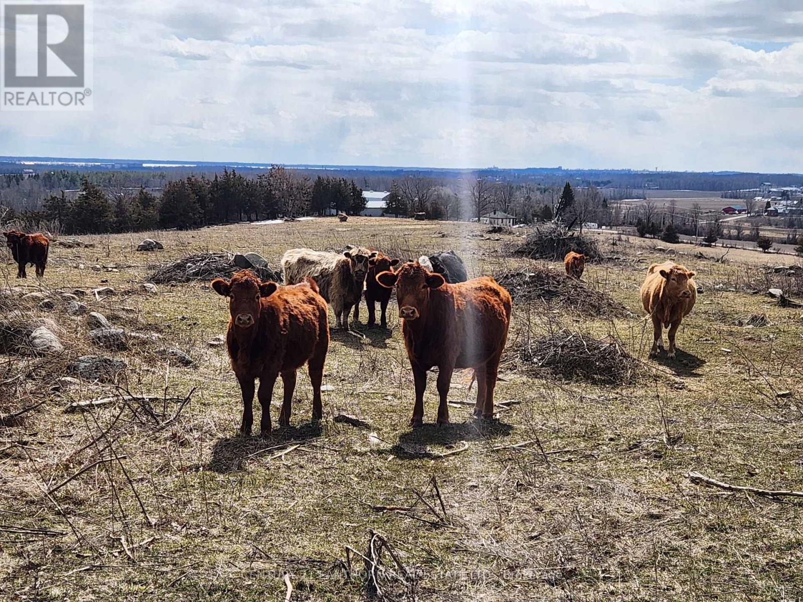 50 Platt Road, Quinte West, Ontario  K8V 5P8 - Photo 35 - X12896092