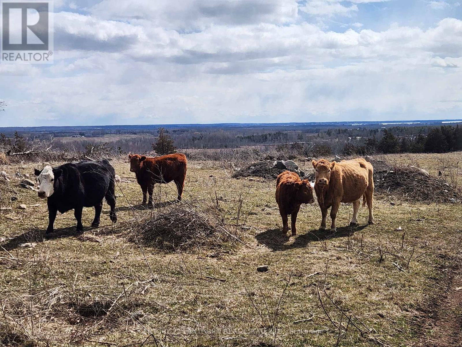 50 Platt Road, Quinte West, Ontario  K8V 5P8 - Photo 37 - X12896092