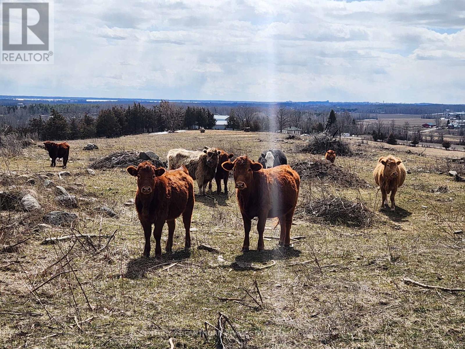 50 Platt Road, Quinte West, Ontario  K8V 5P8 - Photo 34 - X12896092