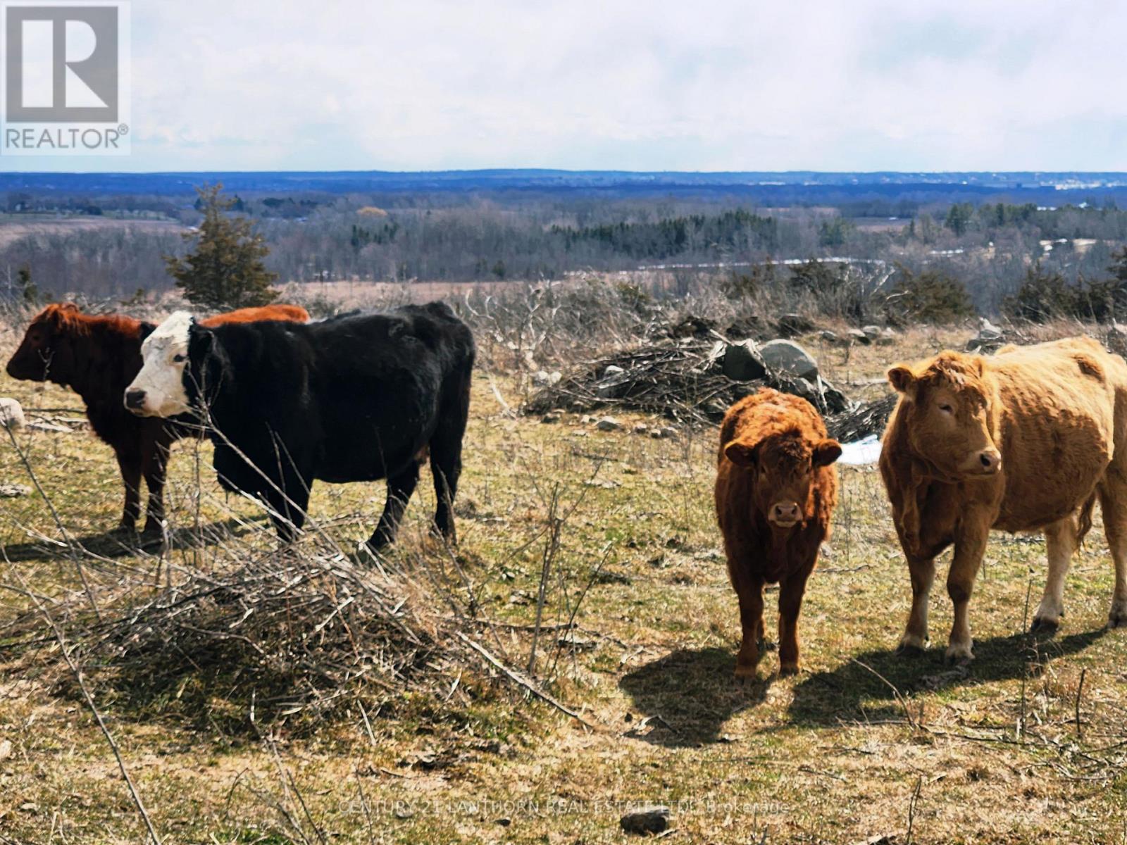 50 Platt Road, Quinte West, Ontario  K8V 5P8 - Photo 36 - X12896092