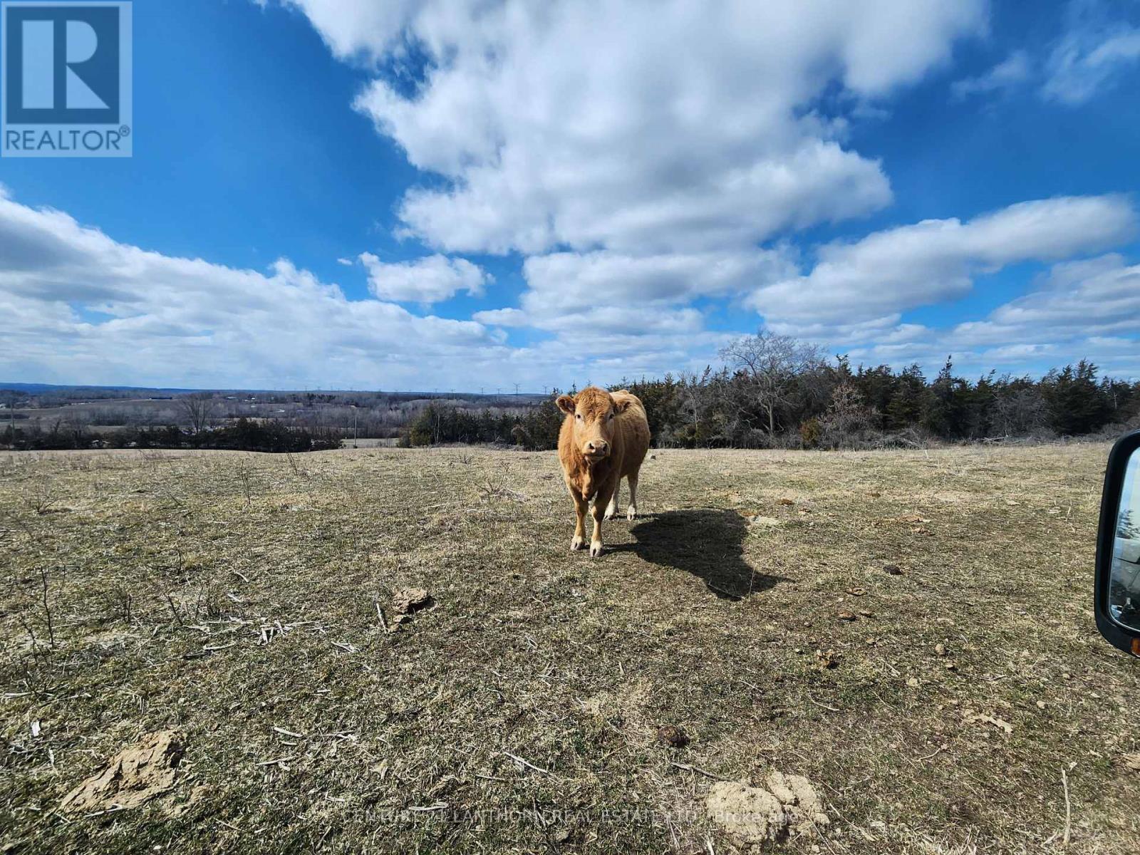 50 Platt Road, Quinte West, Ontario  K8V 5P8 - Photo 29 - X12896092