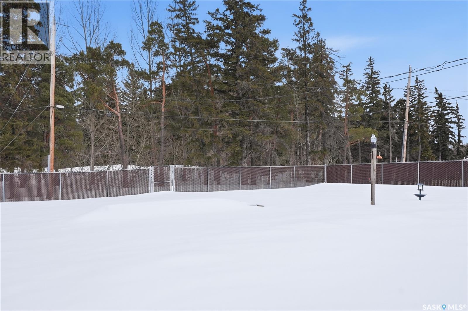 745 Ste Annes Avenue, Bruno, Saskatchewan  S0K 0S0 - Photo 37 - SK032181