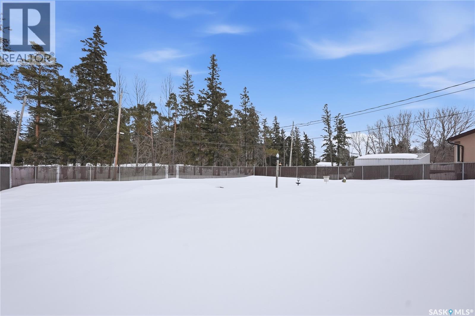 745 Ste Annes Avenue, Bruno, Saskatchewan  S0K 0S0 - Photo 39 - SK032181
