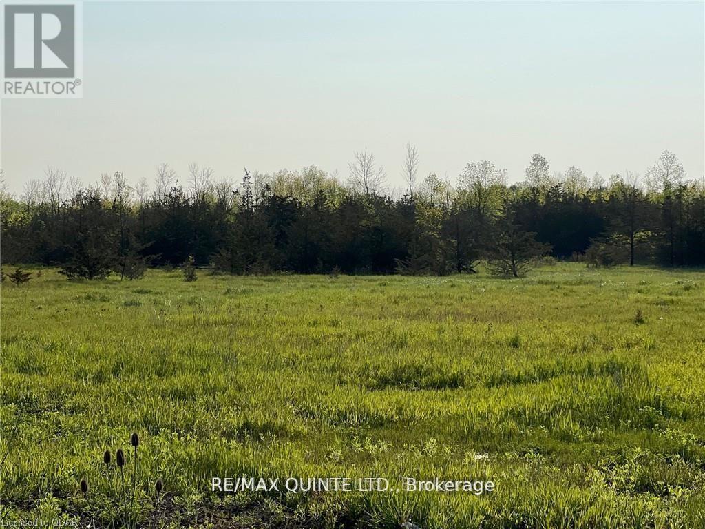 0 Rosseau Crossroad, Prince Edward County, Ontario  K0K 2T0 - Photo 4 - X12961278