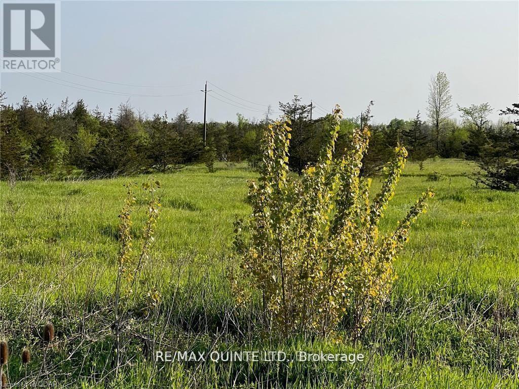 0 Rosseau Crossroad, Prince Edward County, Ontario  K0K 2T0 - Photo 5 - X12961278