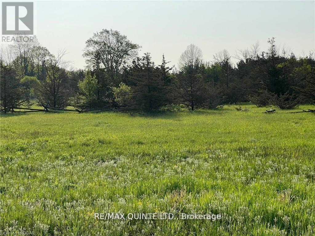 0 Rosseau Crossroad, Prince Edward County, Ontario  K0K 2T0 - Photo 8 - X12961278