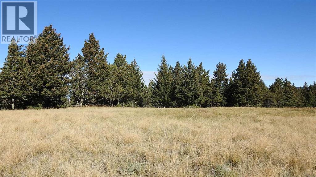 157 Acres Snake Trail, Rural Pincher Creek No. 9, Alberta  T9K 1W0 - Photo 12 - A2262209