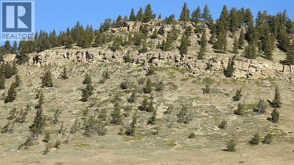 157 Acres Snake Trail, Rural Pincher Creek No. 9, Alberta  T9K 1W0 - Photo 9 - A2262209