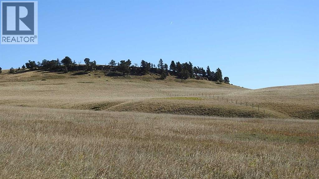 157 Acres Snake Trail, Rural Pincher Creek No. 9, Alberta  T9K 1W0 - Photo 15 - A2262209