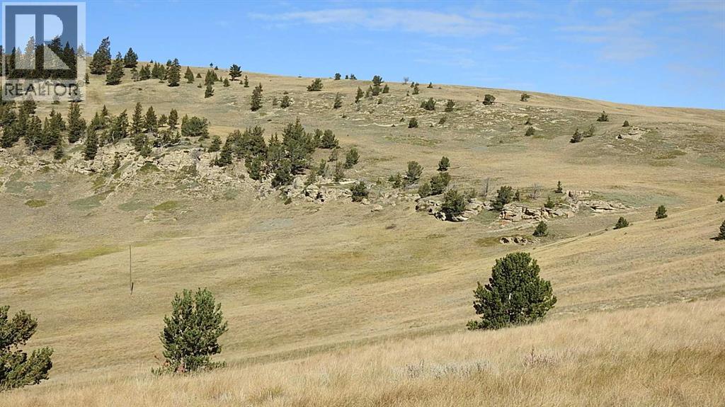 157 Acres Snake Trail, Rural Pincher Creek No. 9, Alberta  T9K 1W0 - Photo 19 - A2262209