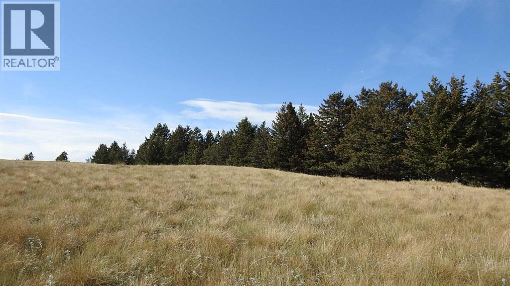 157 Acres Snake Trail, Rural Pincher Creek No. 9, Alberta  T9K 1W0 - Photo 46 - A2262209