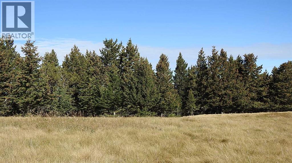 157 Acres Snake Trail, Rural Pincher Creek No. 9, Alberta  T9K 1W0 - Photo 31 - A2262209