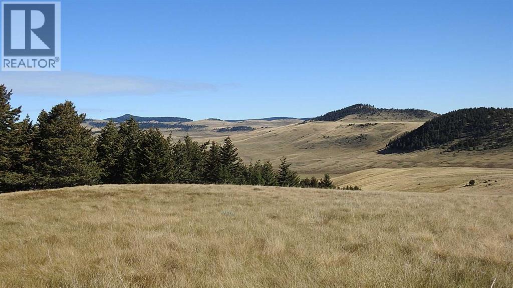 157 Acres Snake Trail, Rural Pincher Creek No. 9, Alberta  T9K 1W0 - Photo 29 - A2262209