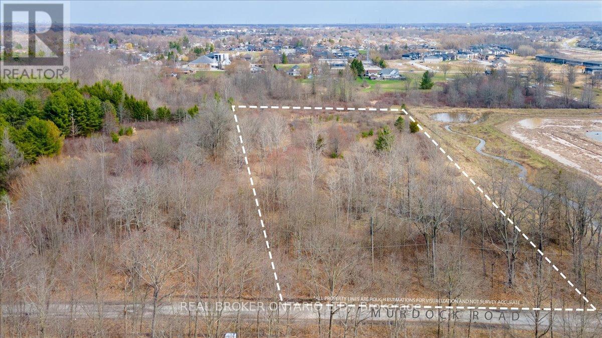 436 Murdock Road, Welland, Ontario  L3B 5N8 - Photo 5 - X12961270