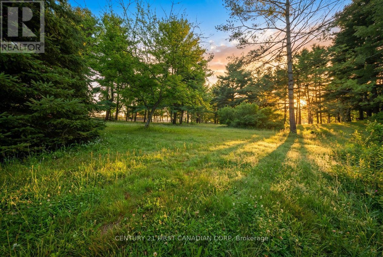 24 Campbell Farm Road, Brant, Ontario  N3T 5L6 - Photo 15 - X12815490