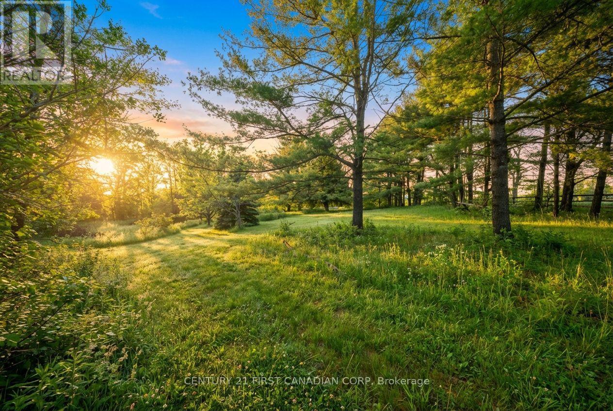 24 Campbell Farm Road, Brant, Ontario  N3T 5L6 - Photo 12 - X12815490